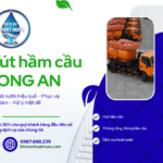 Vì sao nên chọn dịch vụ hút hầm cầu Long An của chúng tôi?